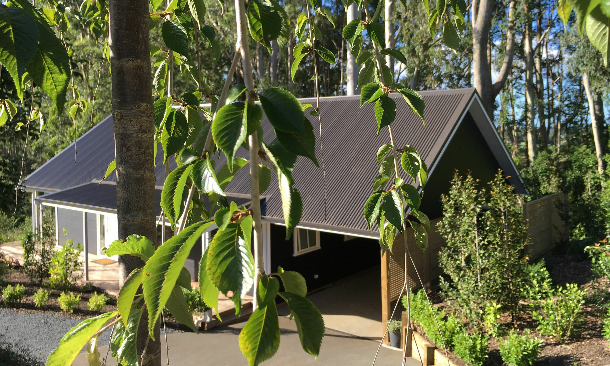 Treghan Luxury Lodge Kerikeri Eksteriør billede